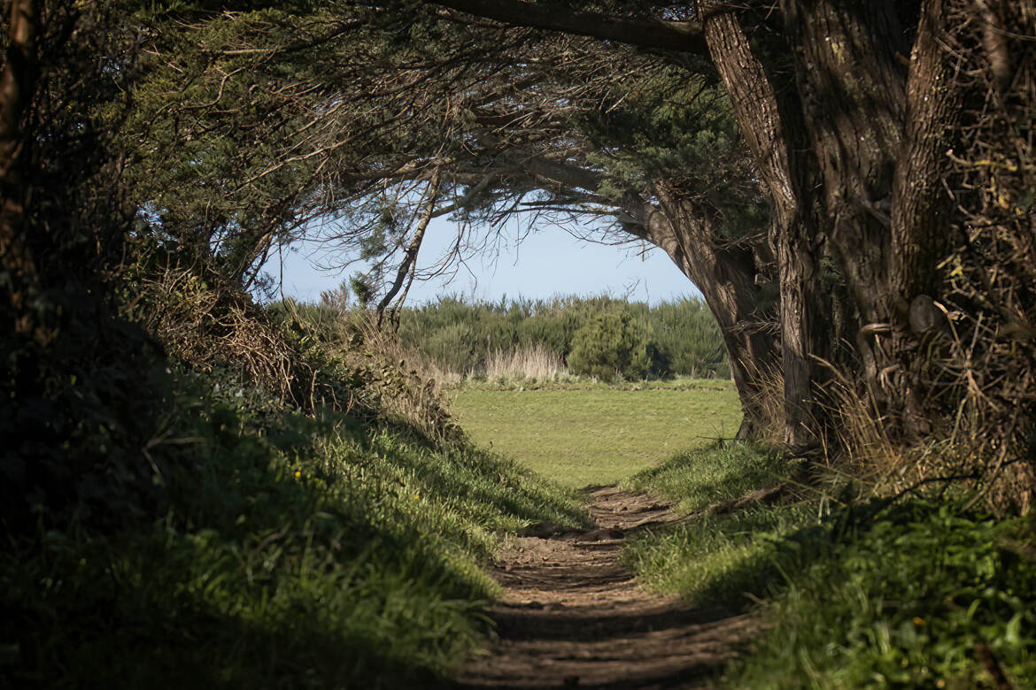 GR 34 Le sentier des Douaniers de Saint Brieuc