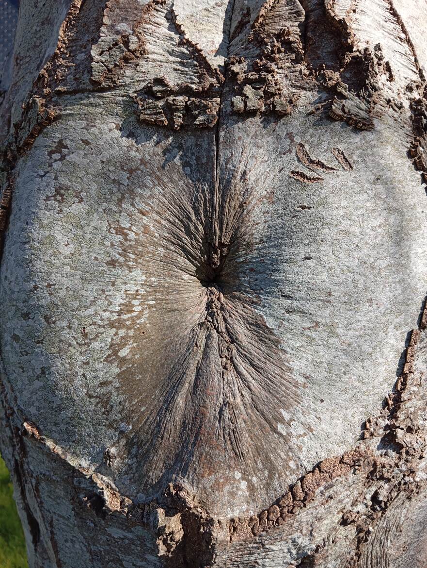 un minimum de décence 2