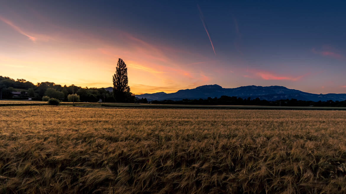 Entre heure bleue et lever du jour