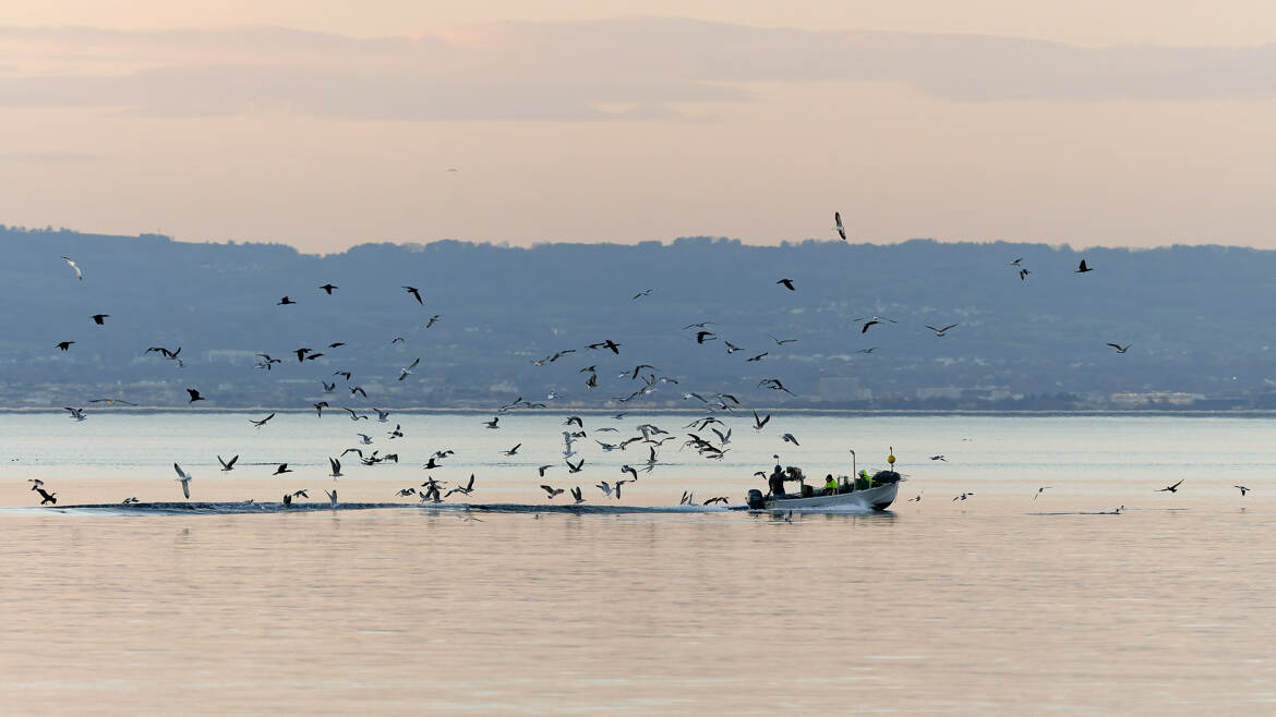 Retour de pêche