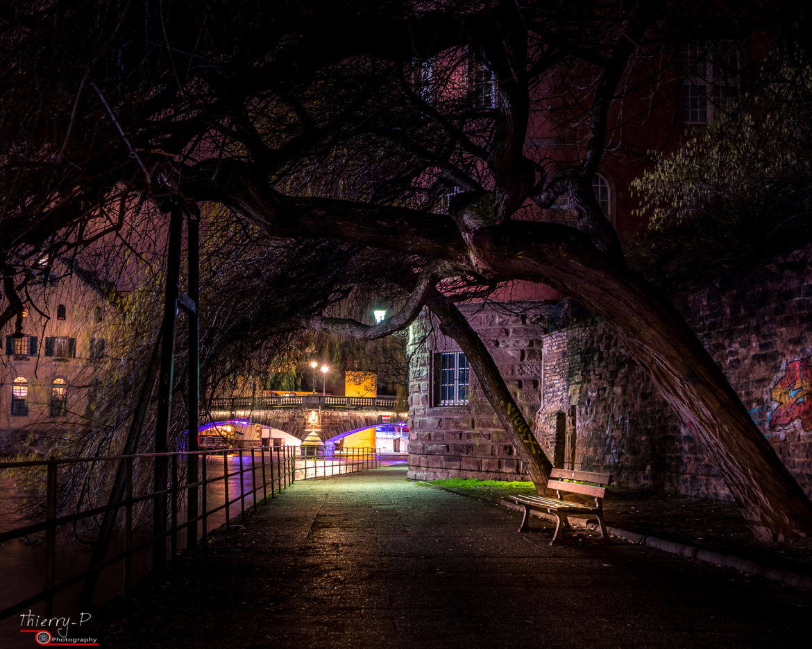 Vue sur le pont St Martin Strabourg