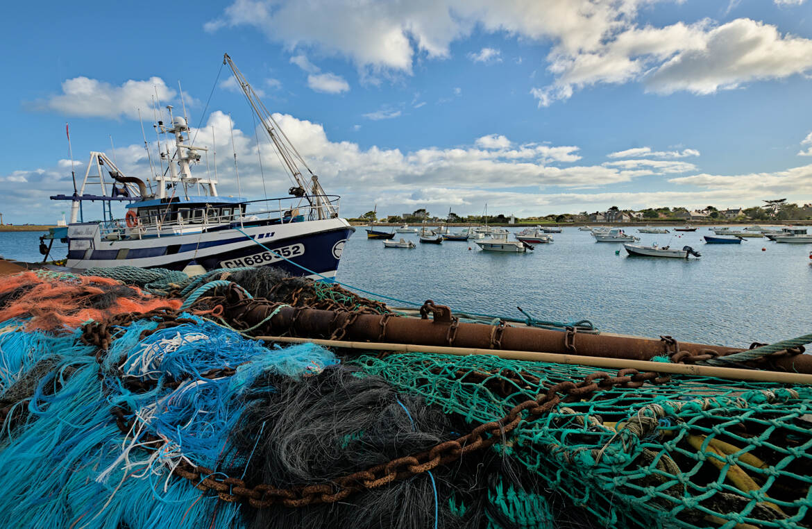 Pêche et plaisance