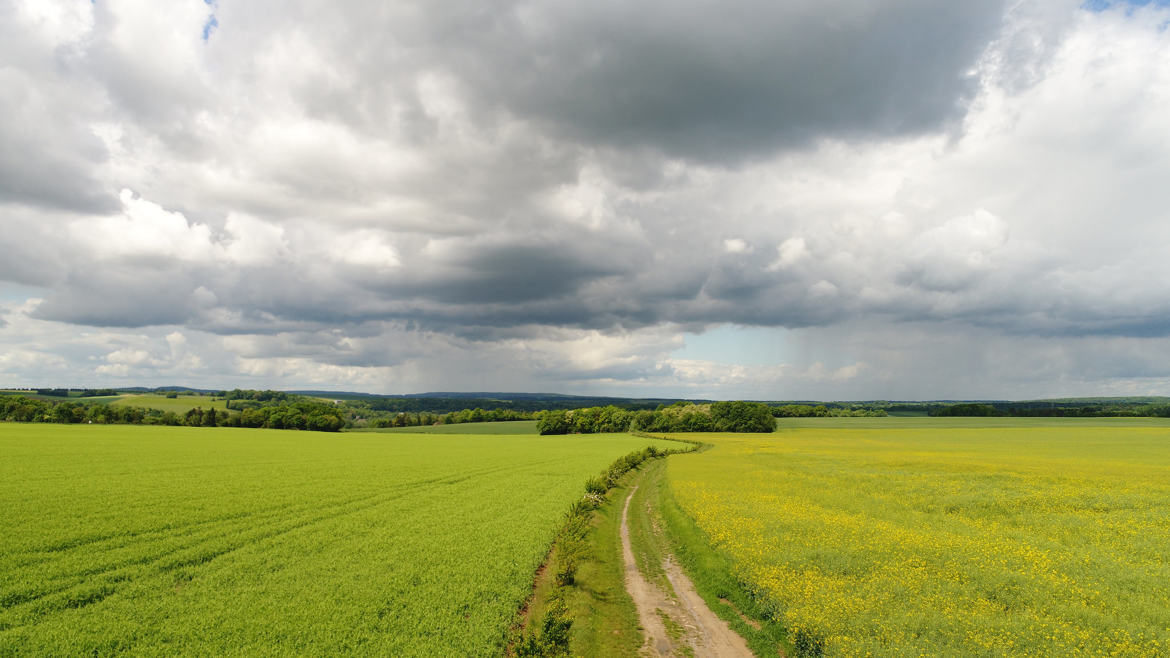 Entre deux orages