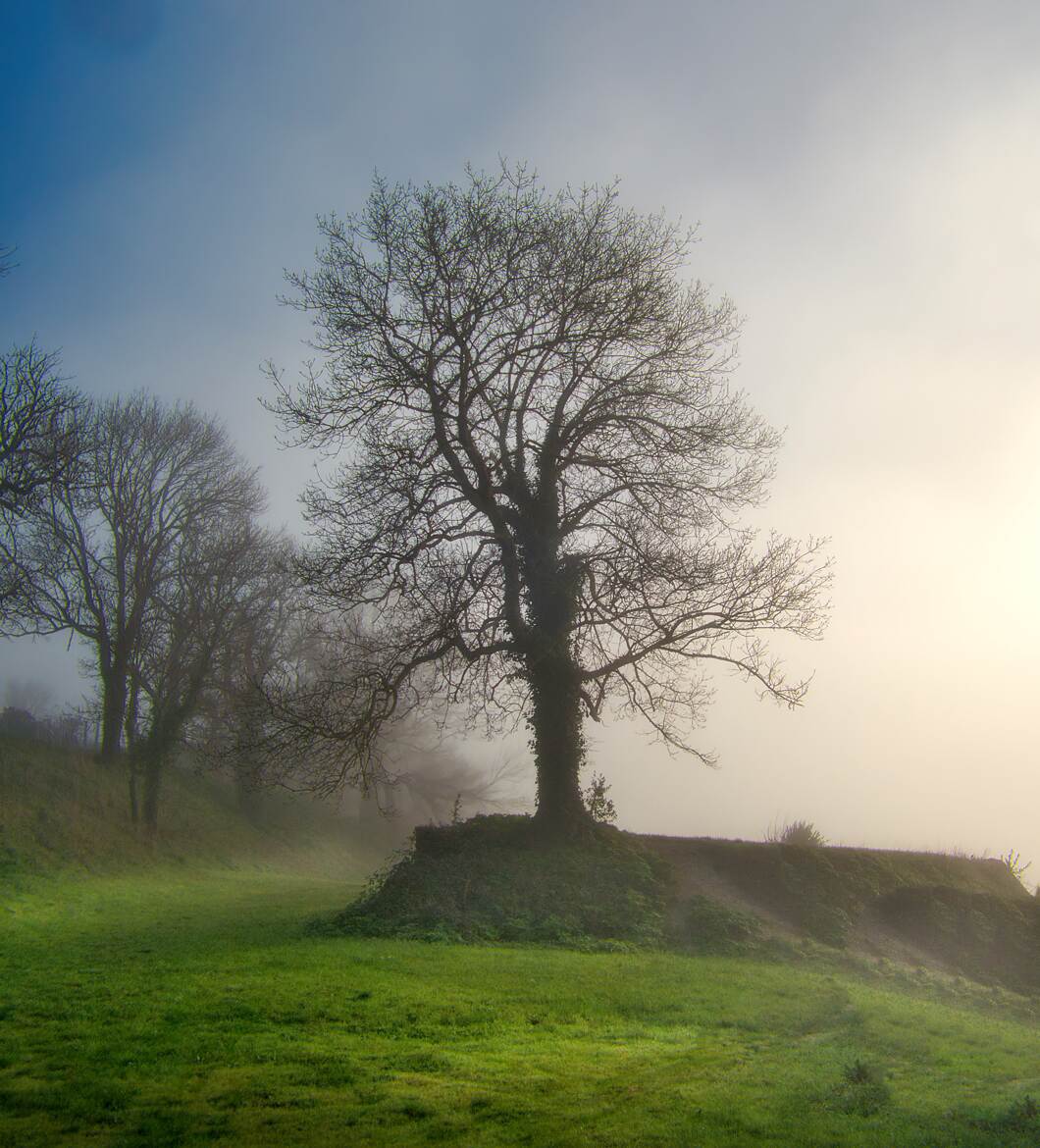 Dans la brume !