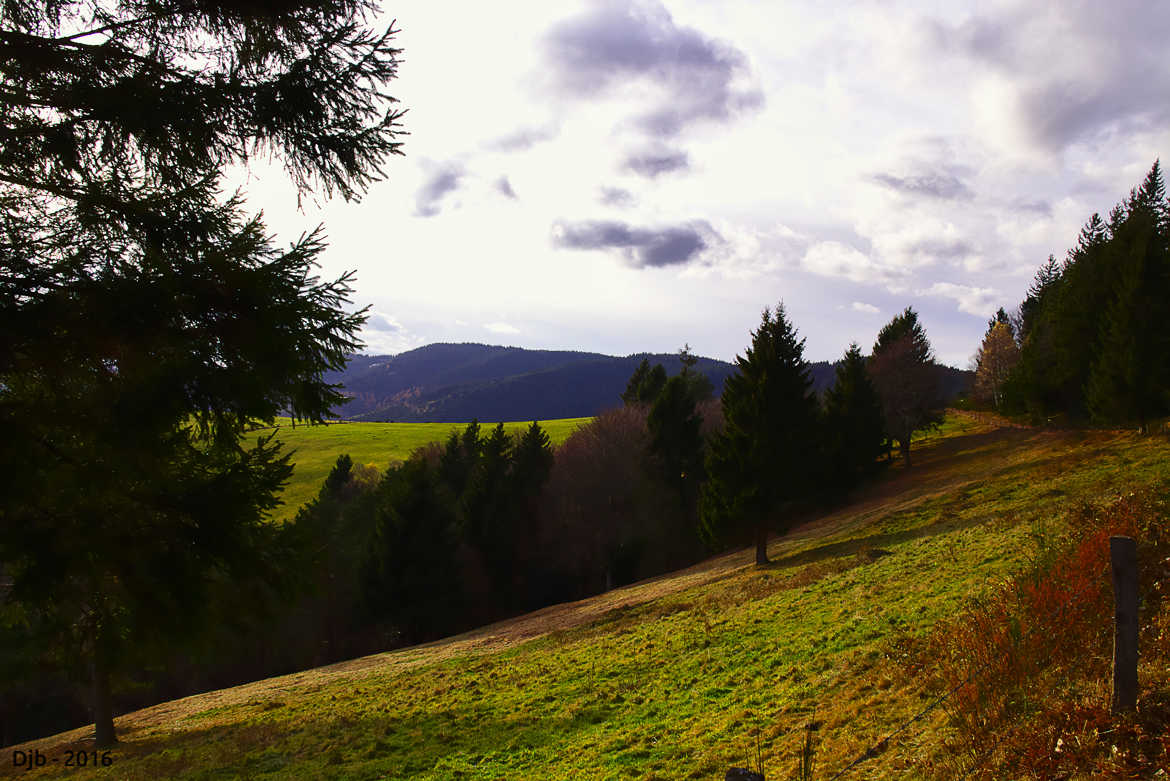 Chemin d'Automne