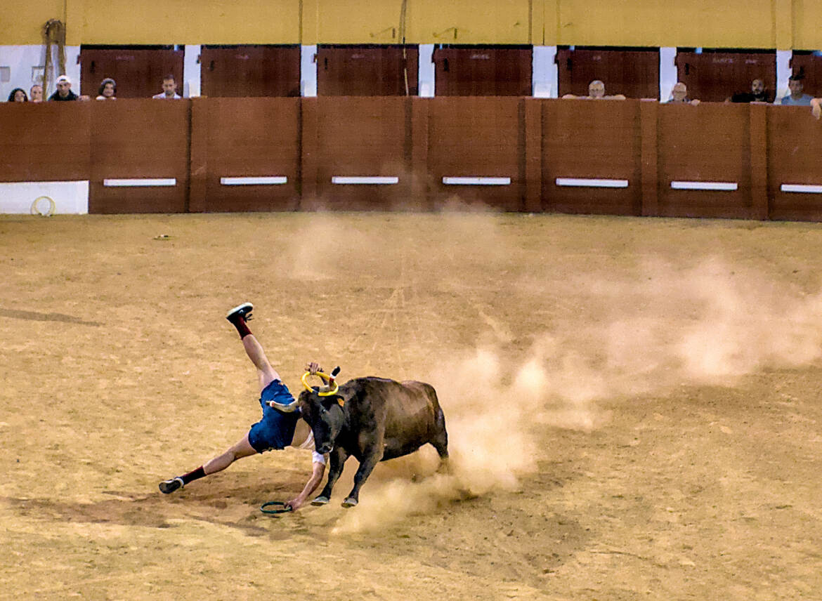 Jeux d'arène