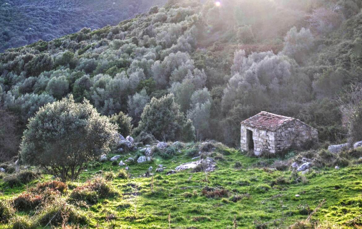 La petite maison dans le maquis