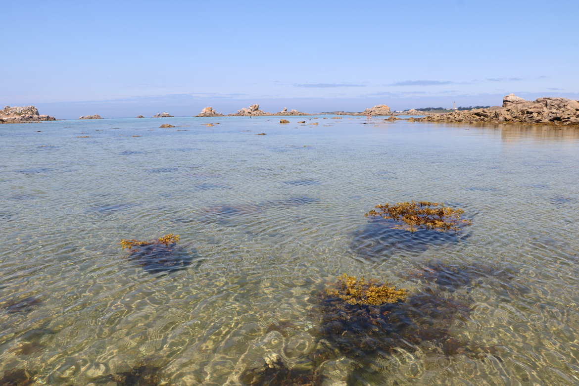 Les pieds dans l'eau froide