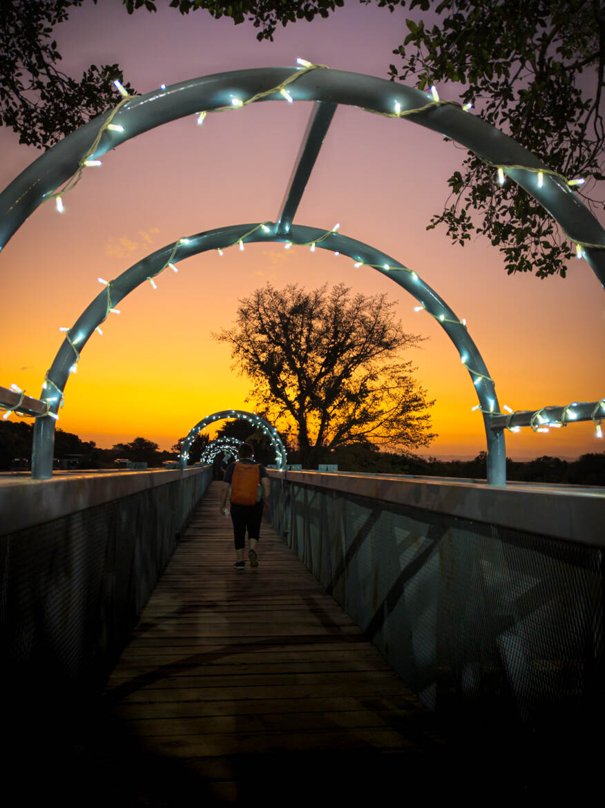 Le pont vers la nature