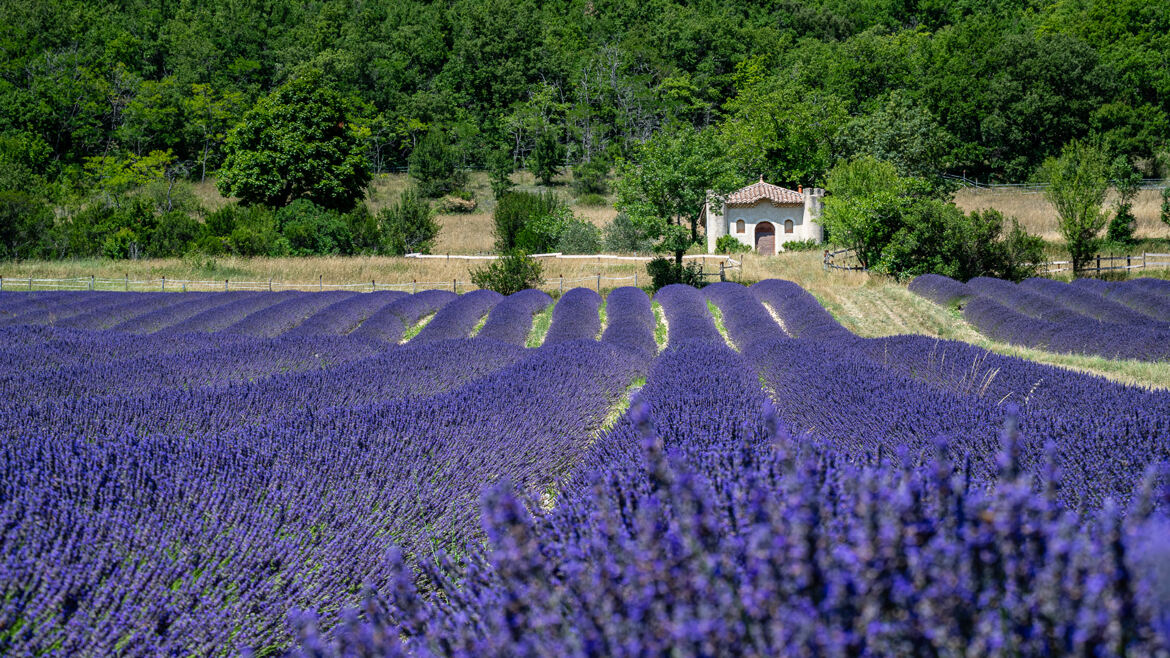 parfum de Provence