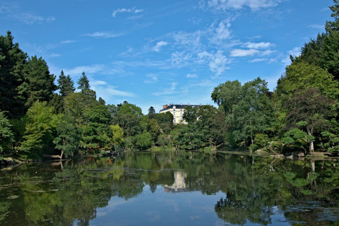 Vu sur le parc