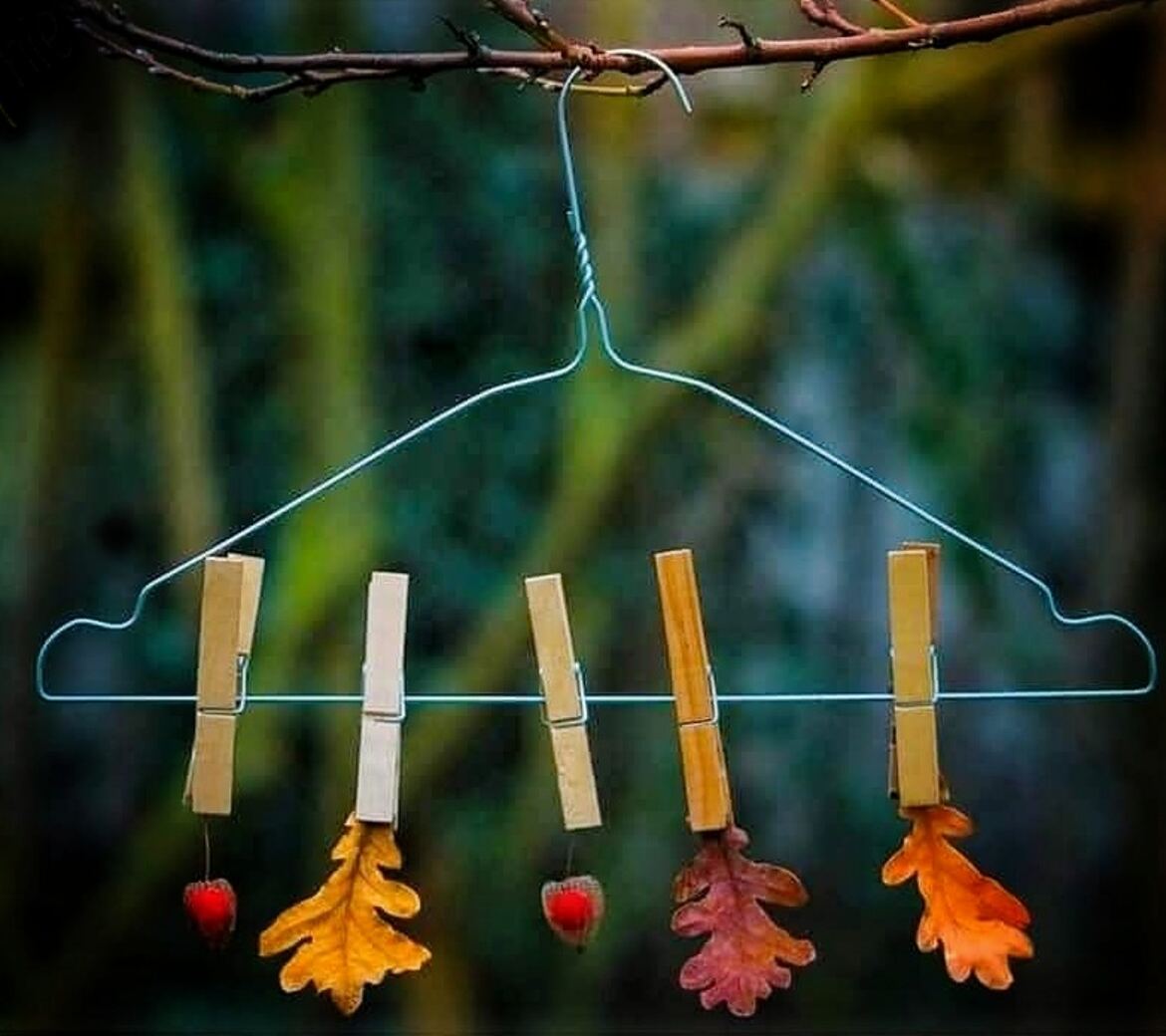 Nature suspendue, tendresse automnale divine.