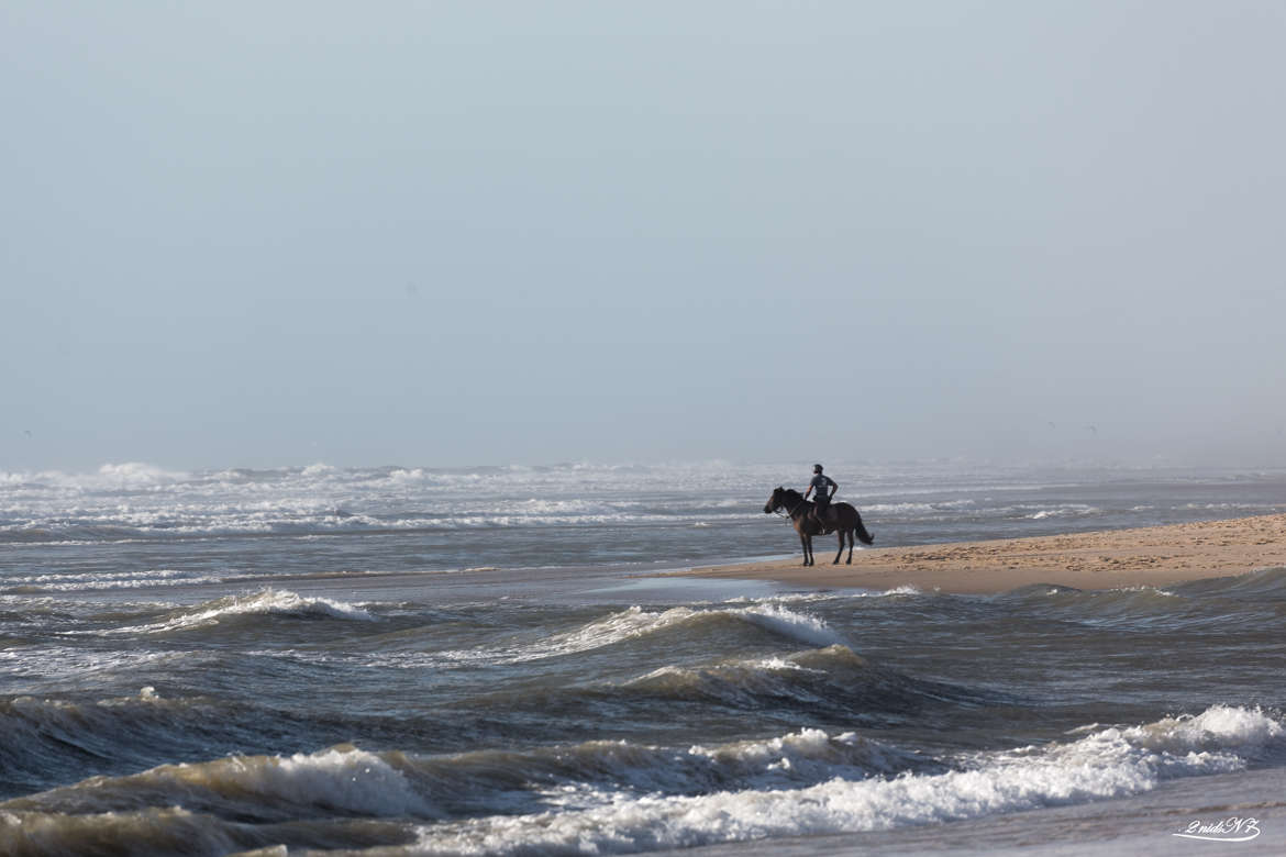 Face à la Mer