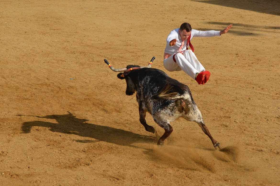 Bravoure et audace landaise...