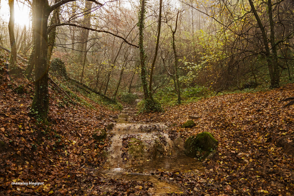 Petit ruisseau deviendra grand