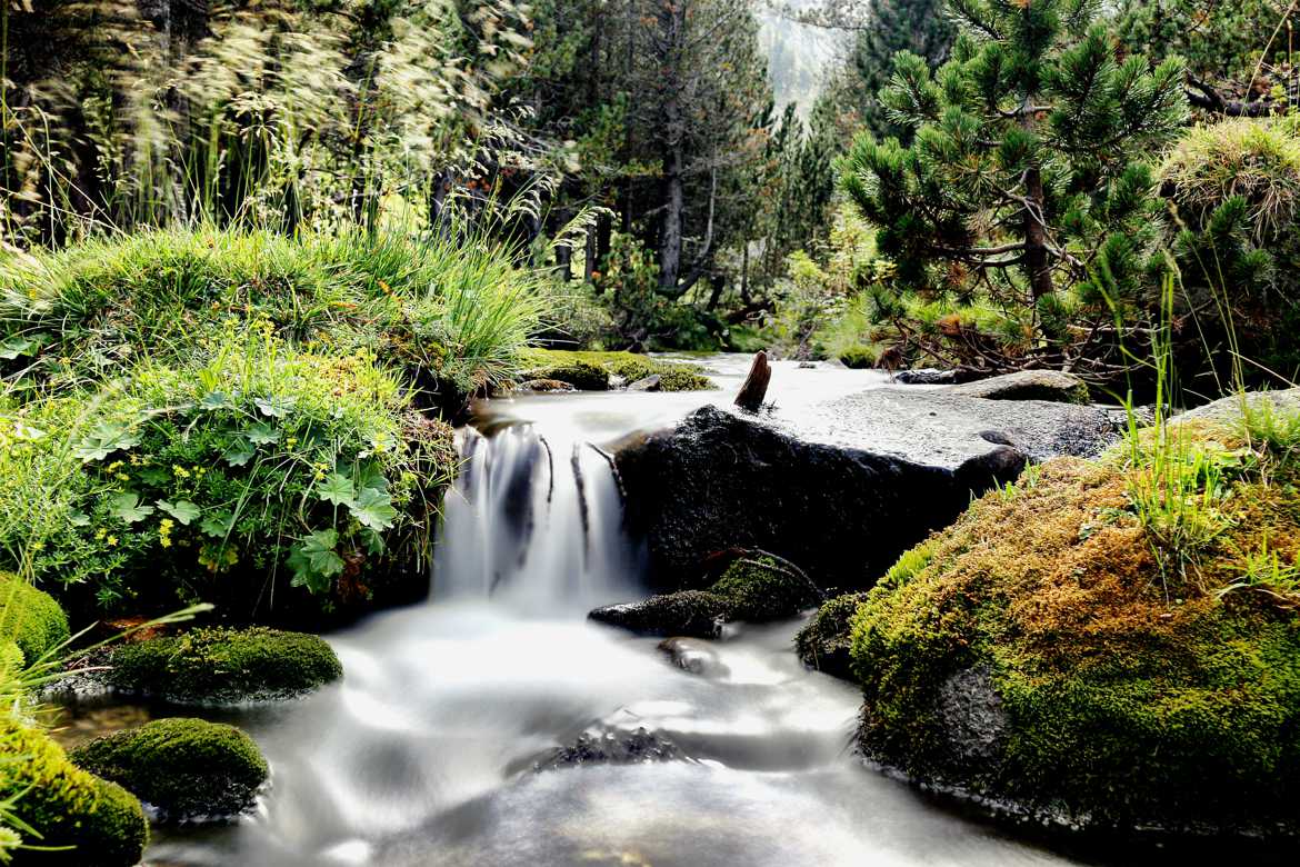 Rivière de montagne