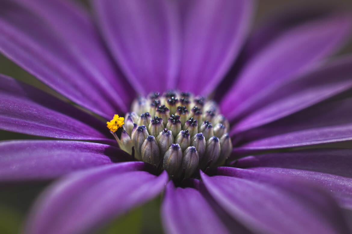 Doucement mais surement