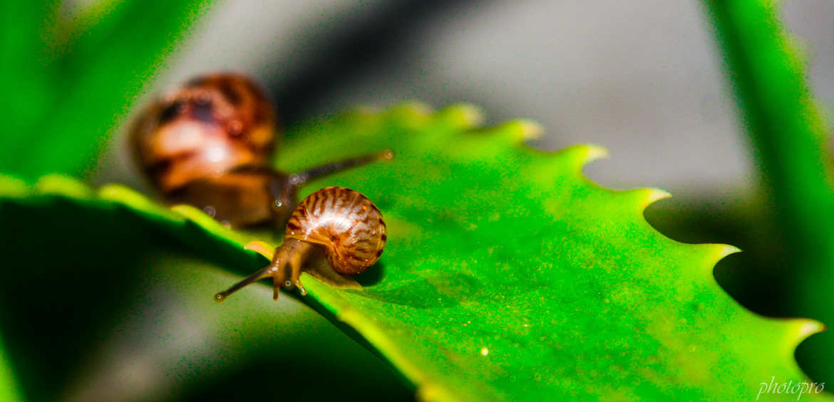 Maman, comment on déscend ?