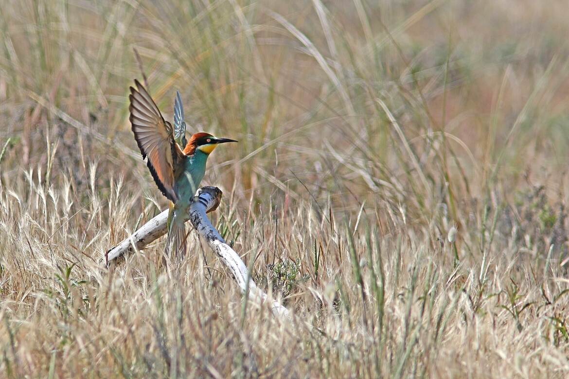 Mon plus beau profil !!