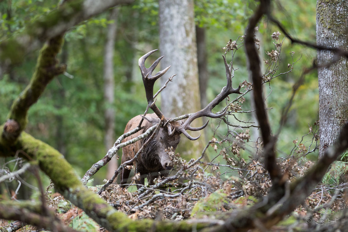 Quand ça gratte....