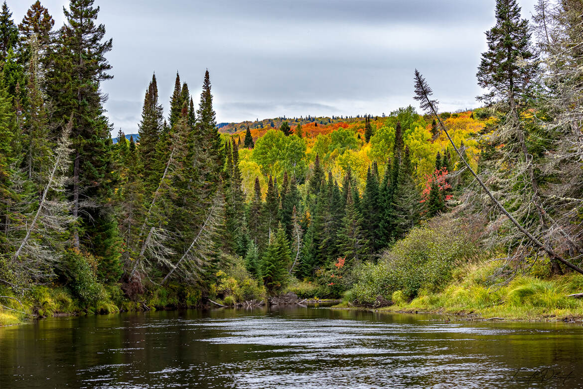 au milieu coule une rivière