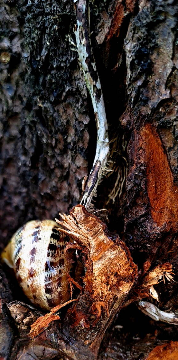 A l'abri de la pluie