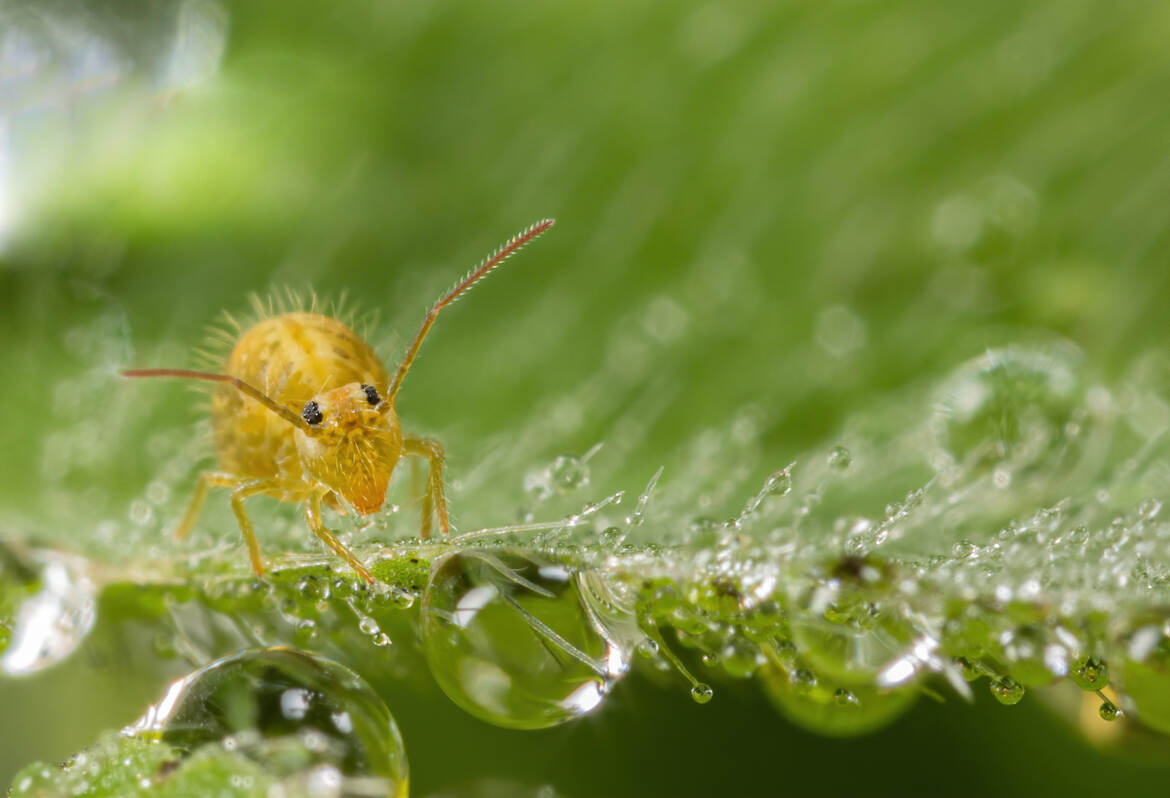 Première sortie de la journée!