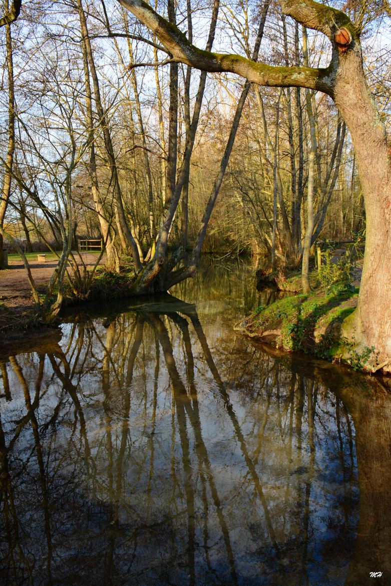 Ballade à Tavers