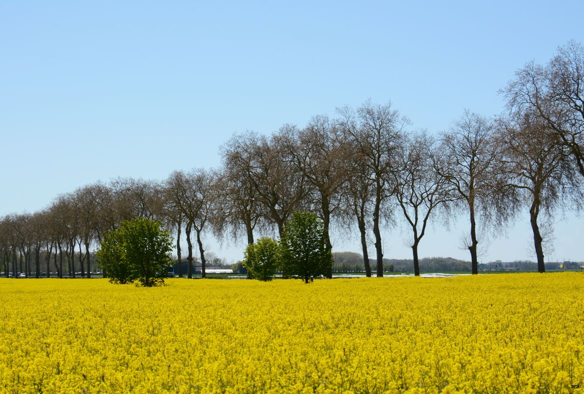 Près de chez moi