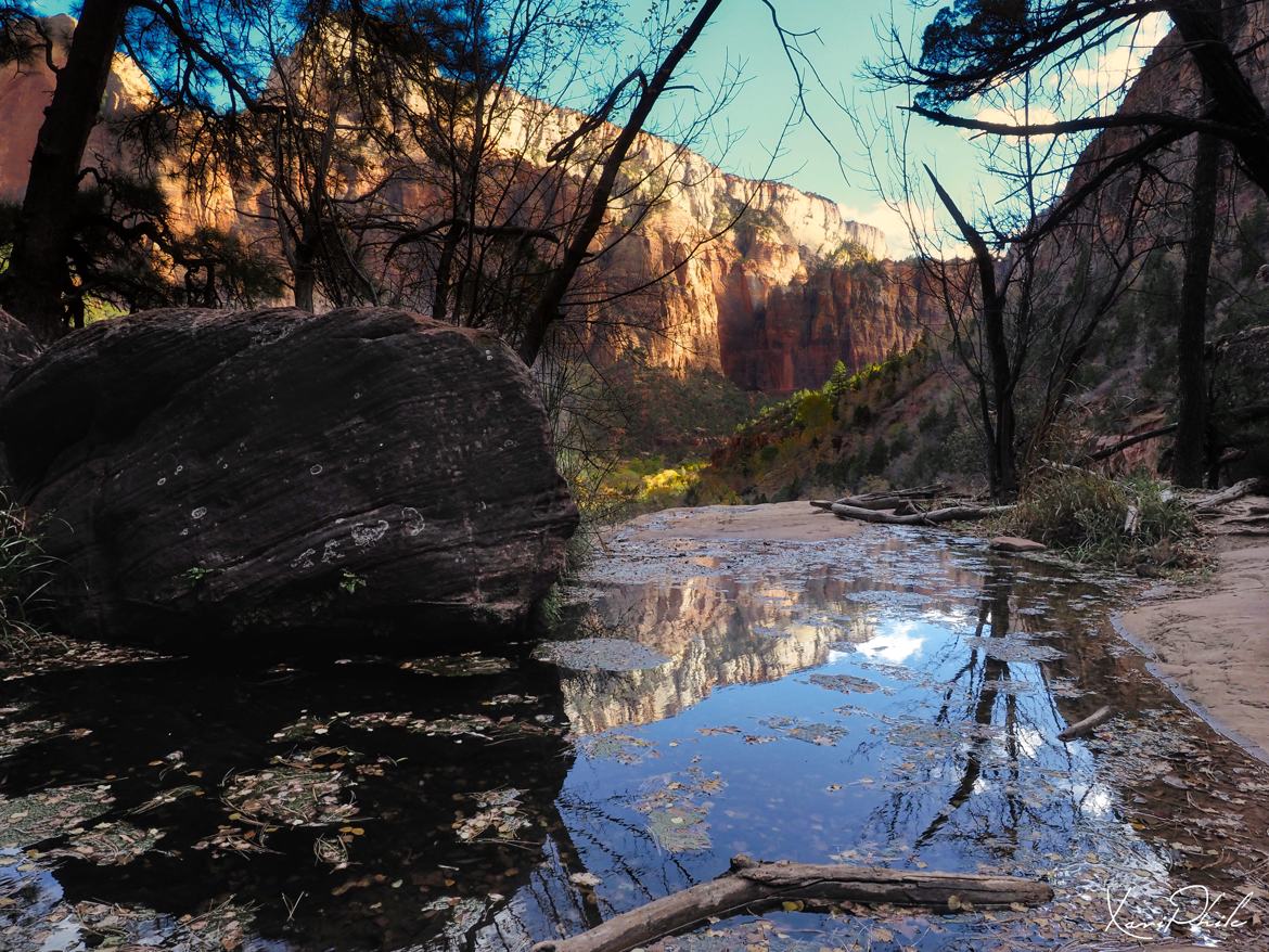 Zion et le reflet