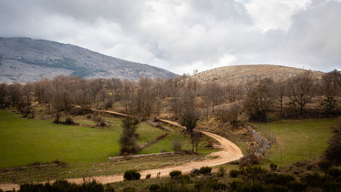 Col de Vence