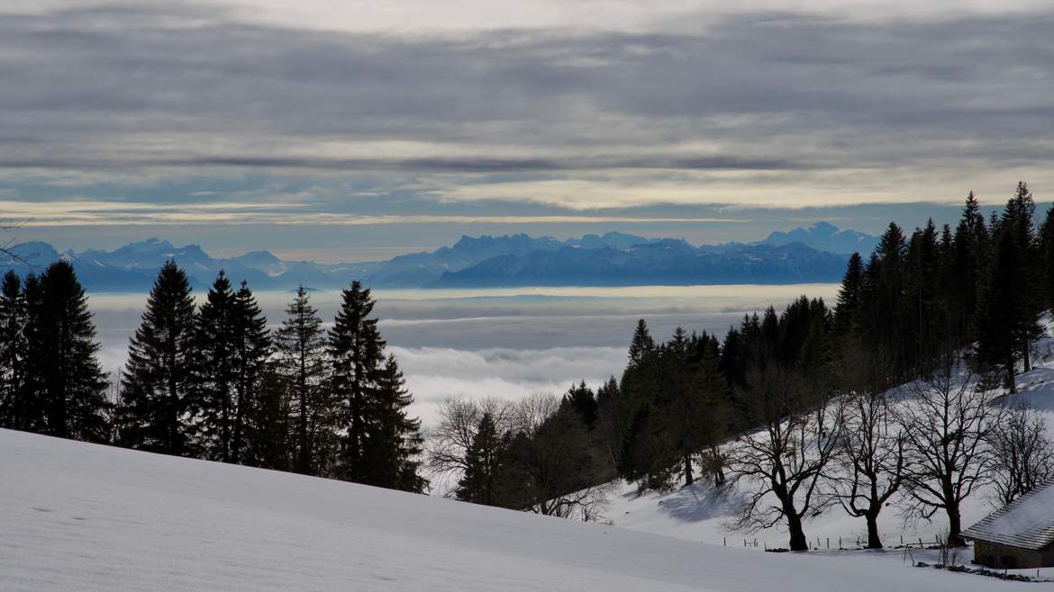 Jour blanc