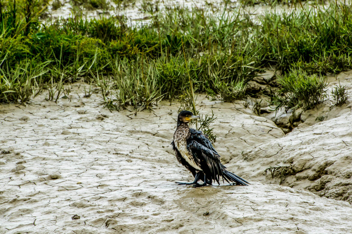 Détrempé après la pêche