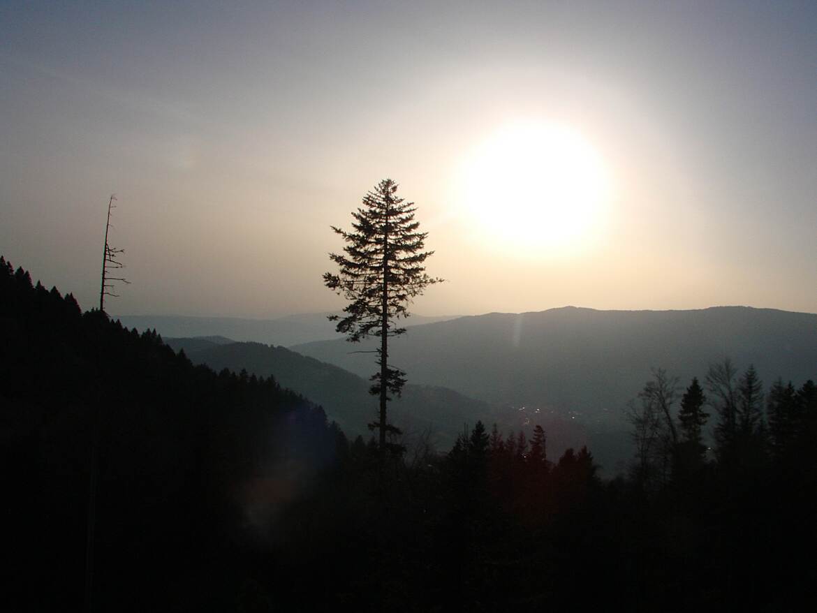 Le soleil décline dans la brume