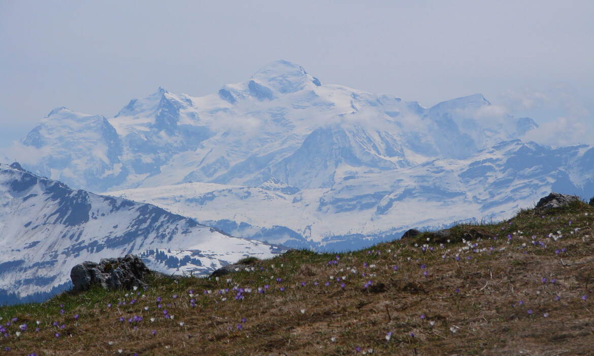 Sous une autre lumière