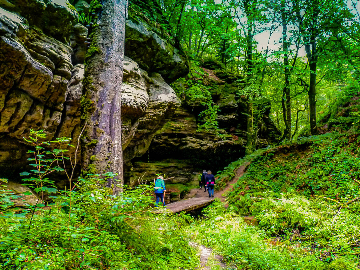 De belles ballades dans cette belle nature
