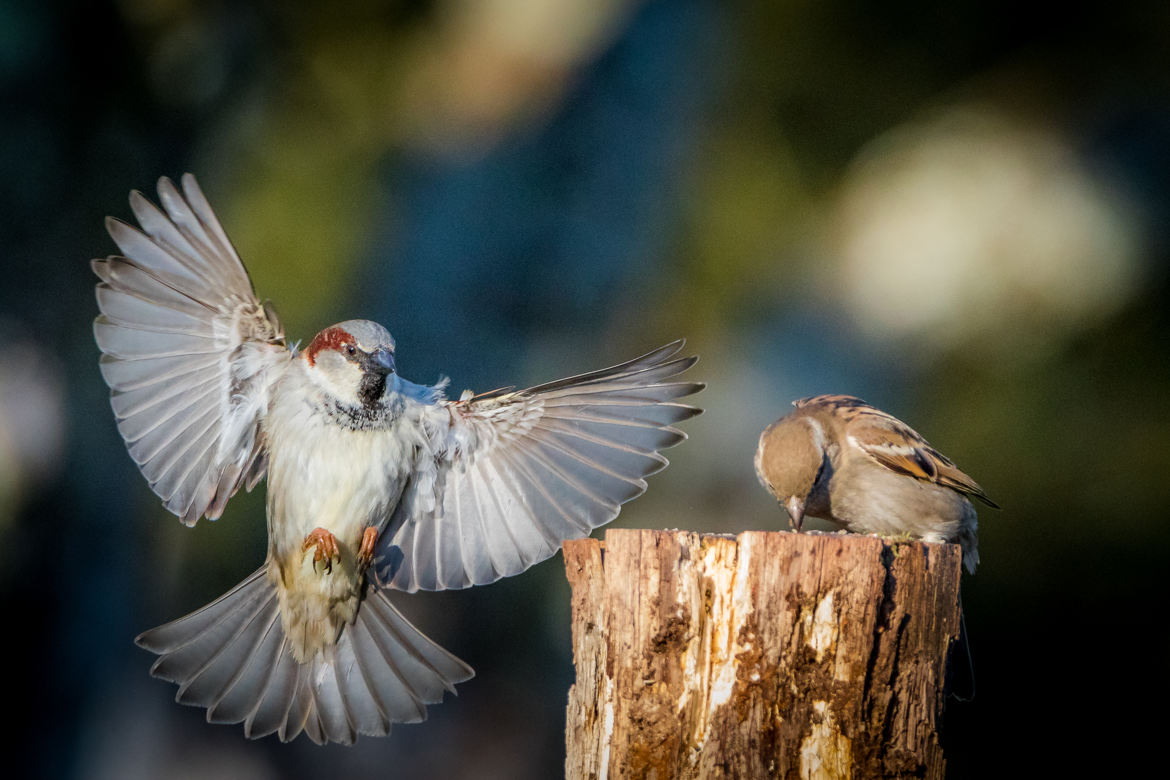 Pousse toi! J'arrive!