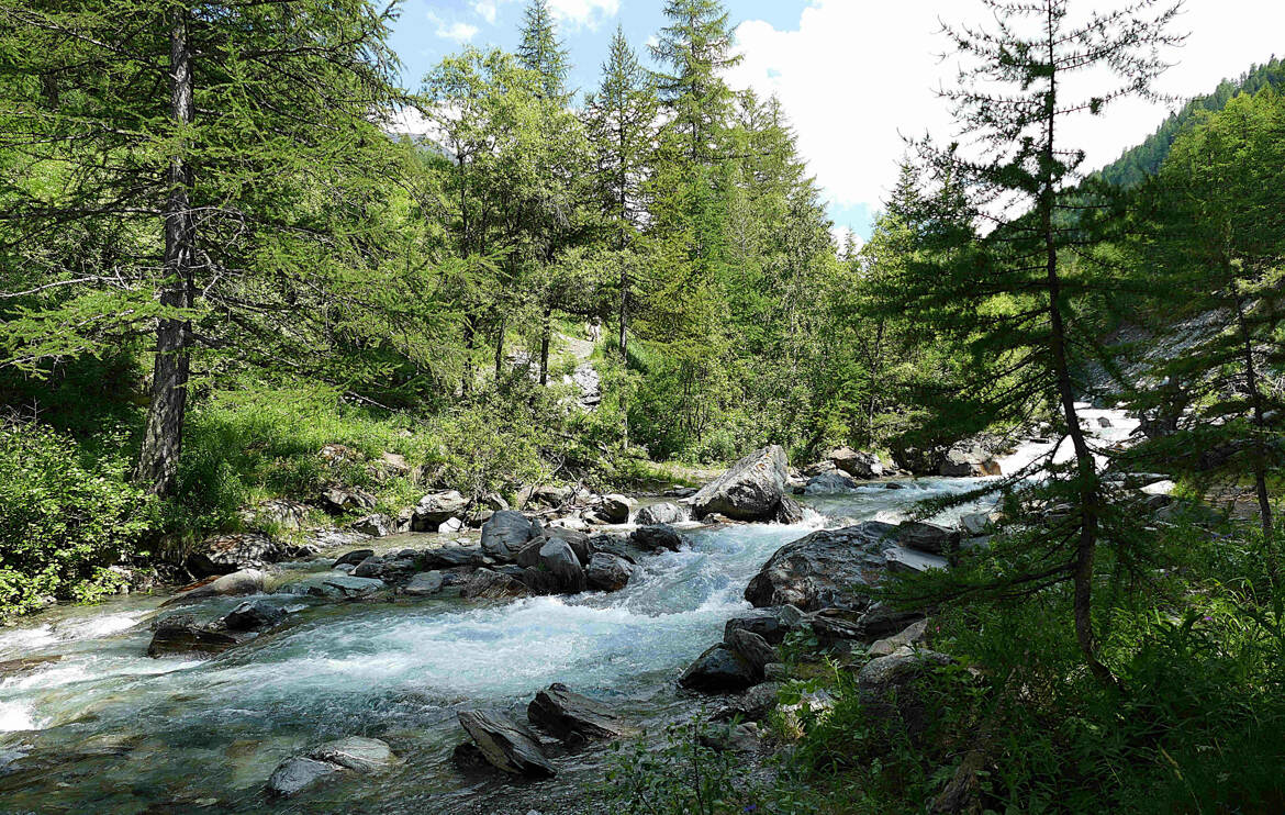 Torrent du pré Michel (2)