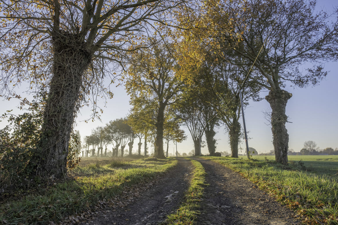 Le chemin de mon enfance