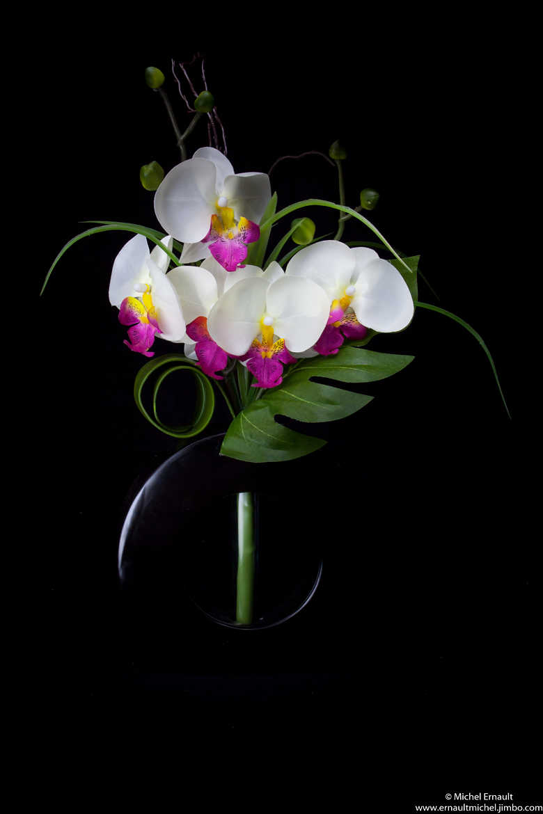 fleur d'orchidée