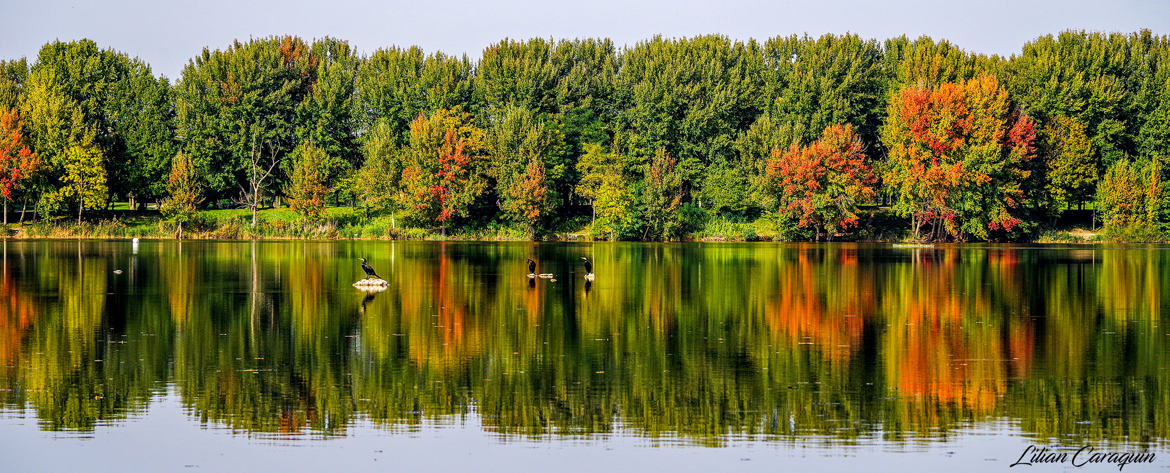 Bord du lac en automne