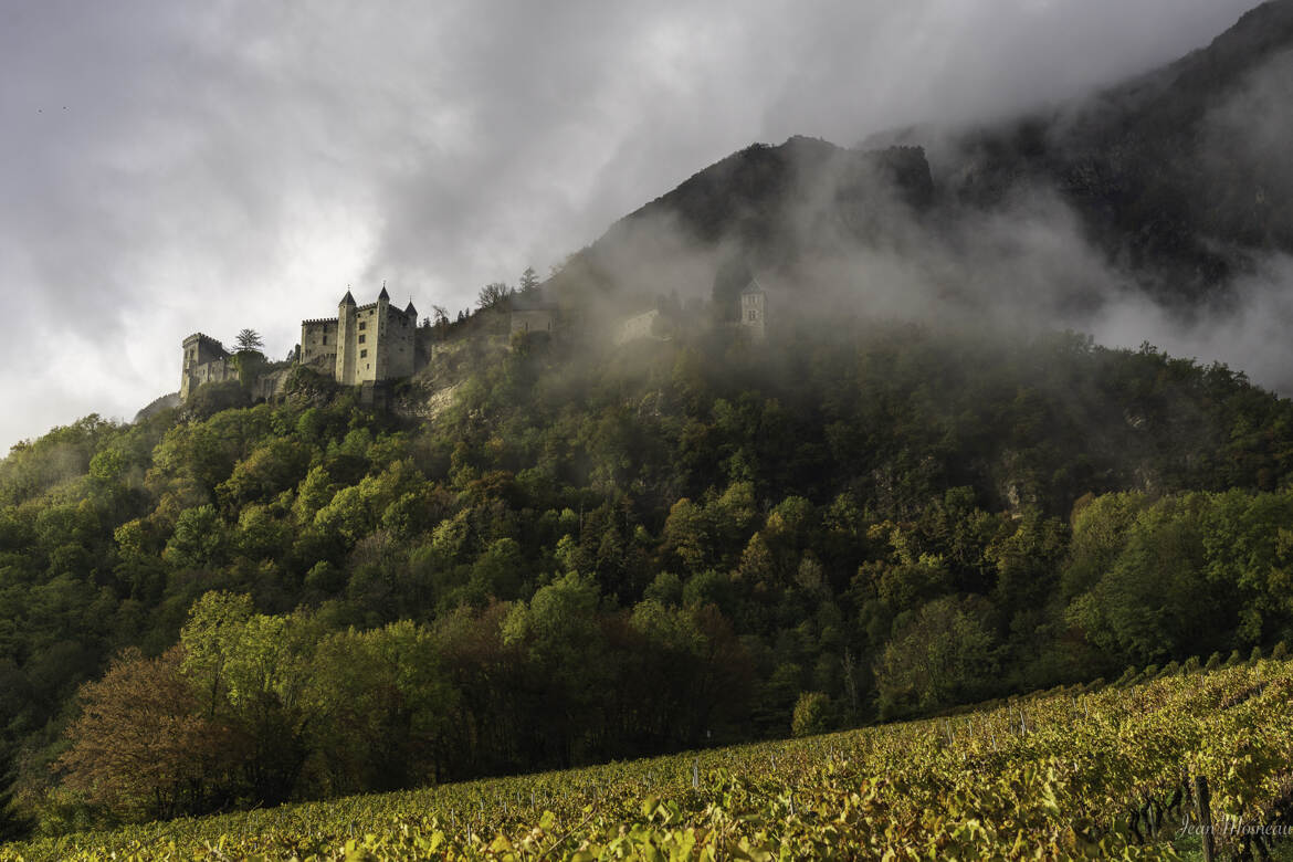 Vignes et chateau