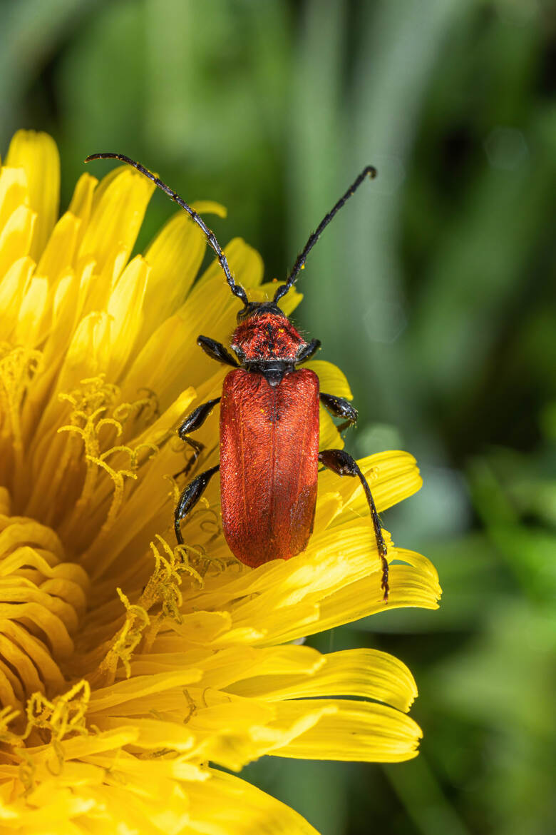 Couleurs printanières!