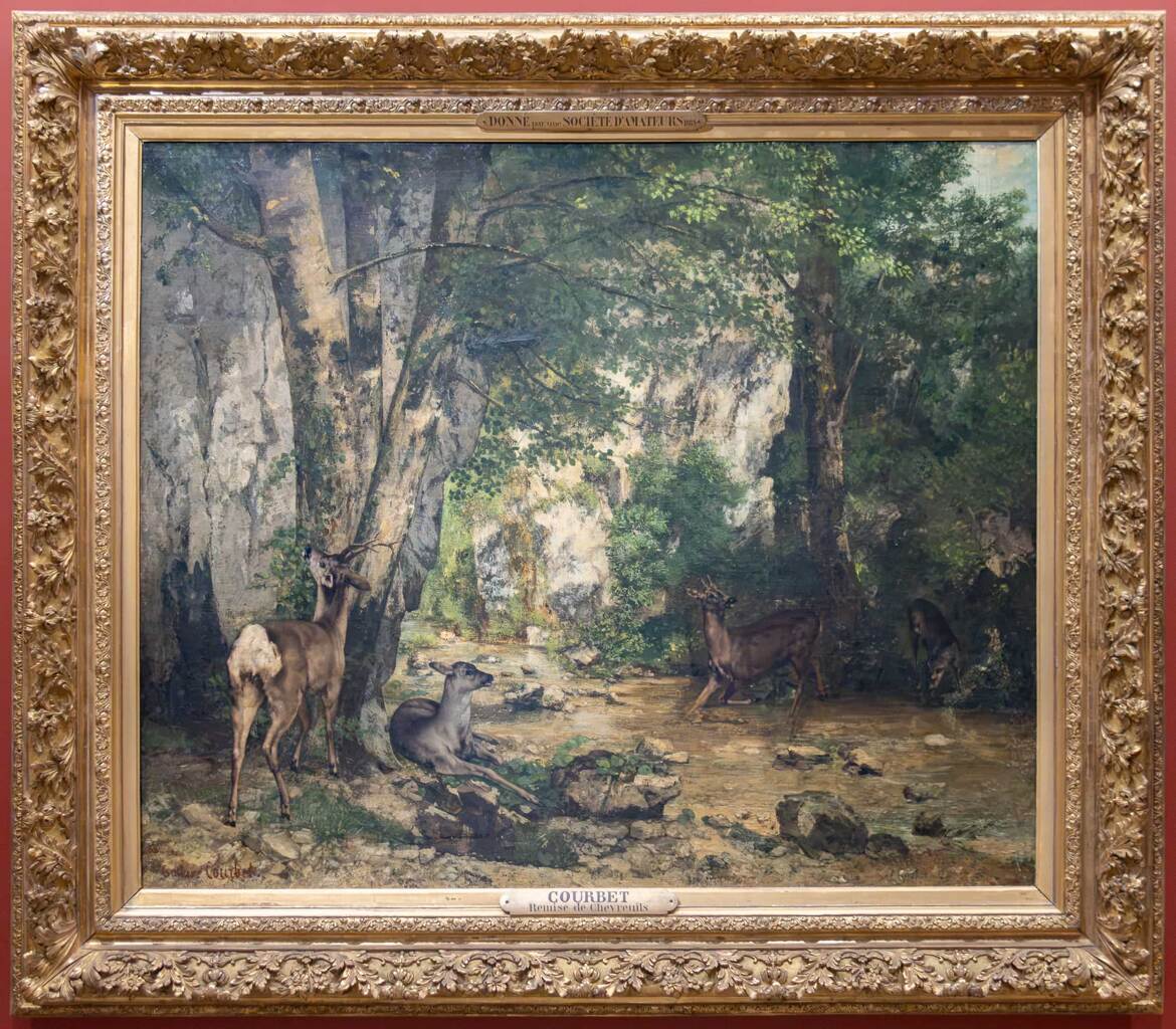 Depuis mon affût... au musée...