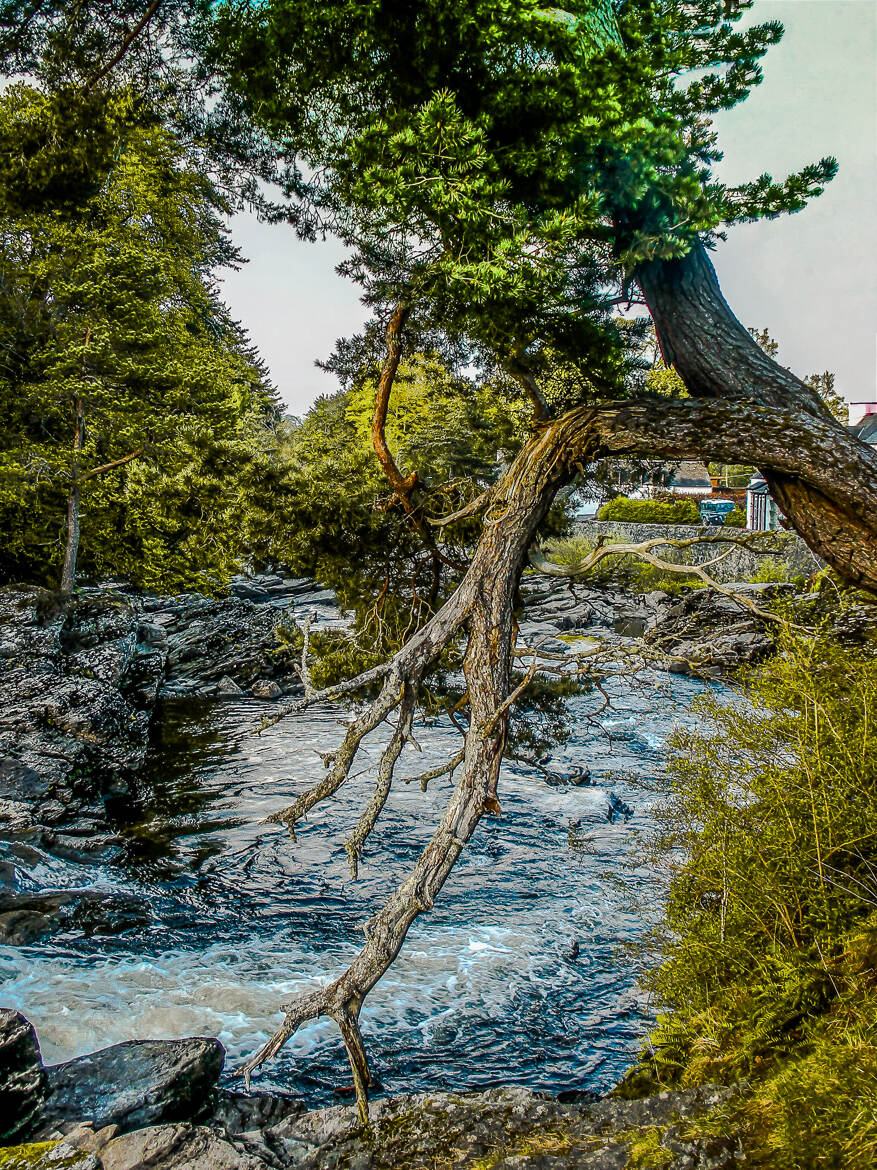 Le pleureur