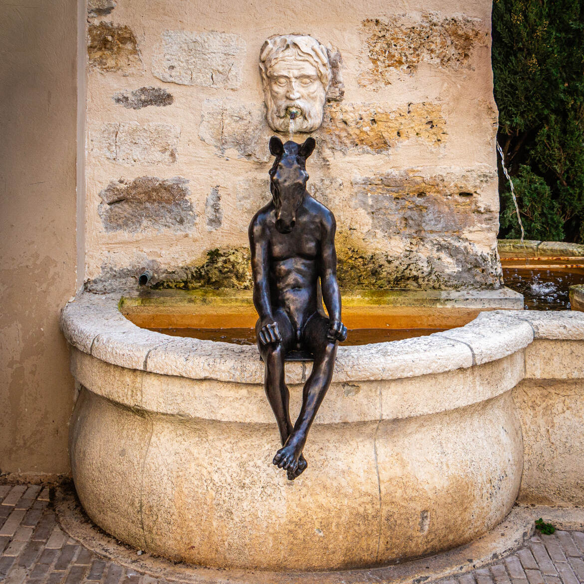 ''L'enfant cheval''