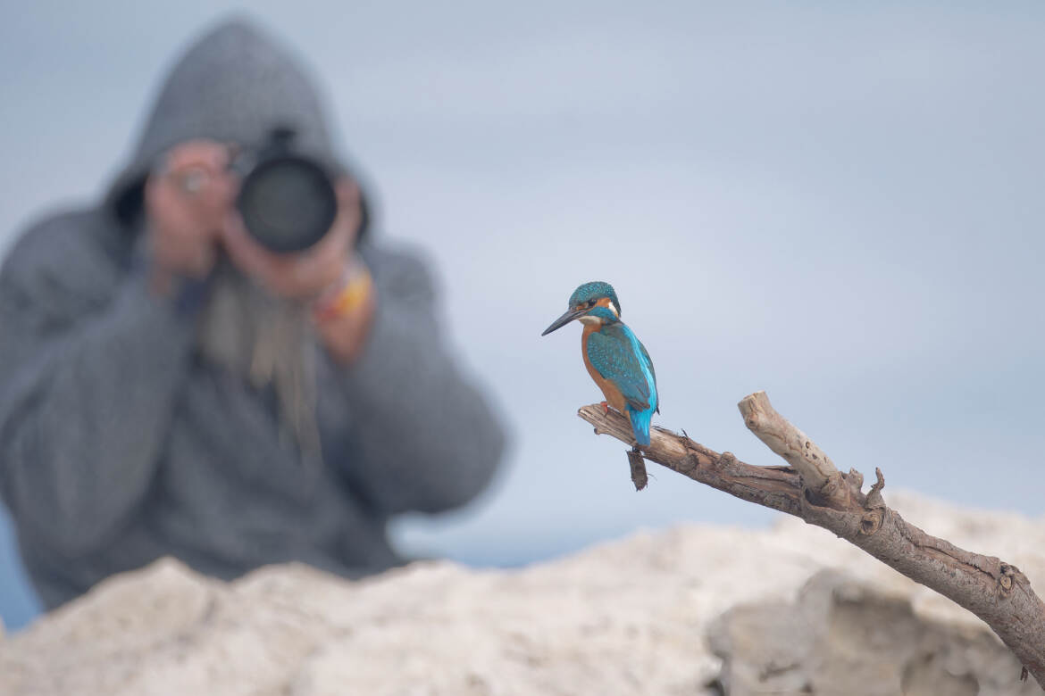 Martin et le photographe...