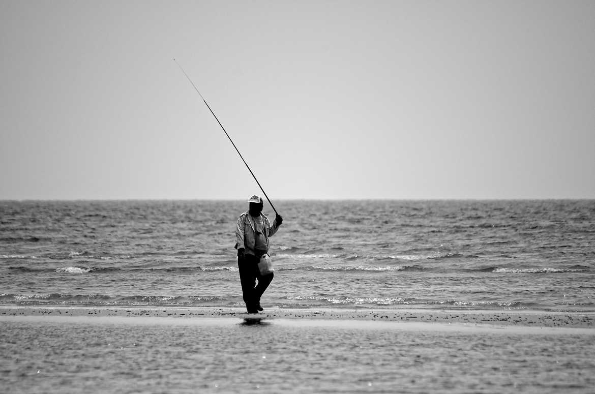 Pêche à la ligne