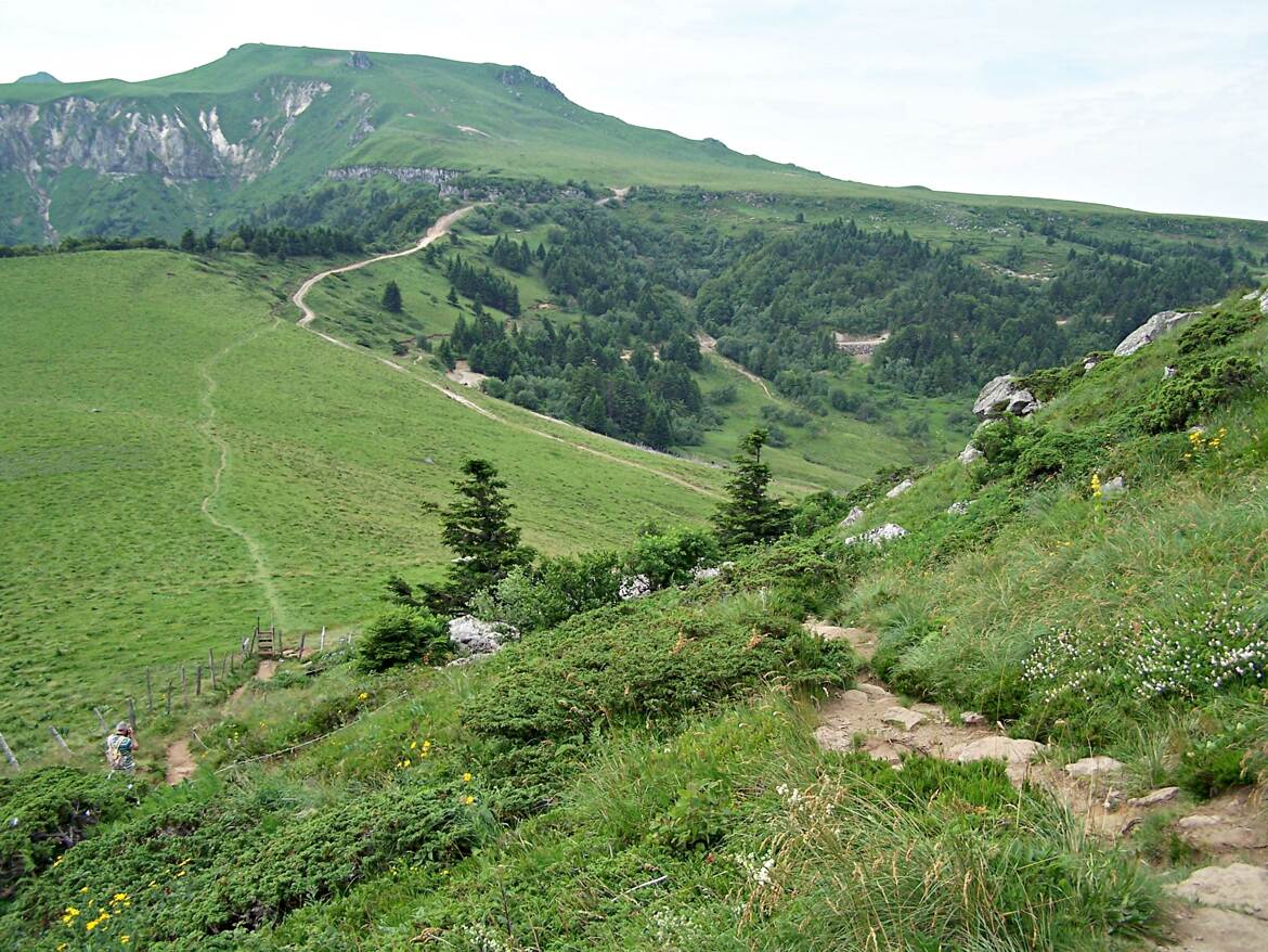 Carré d'Auvergne