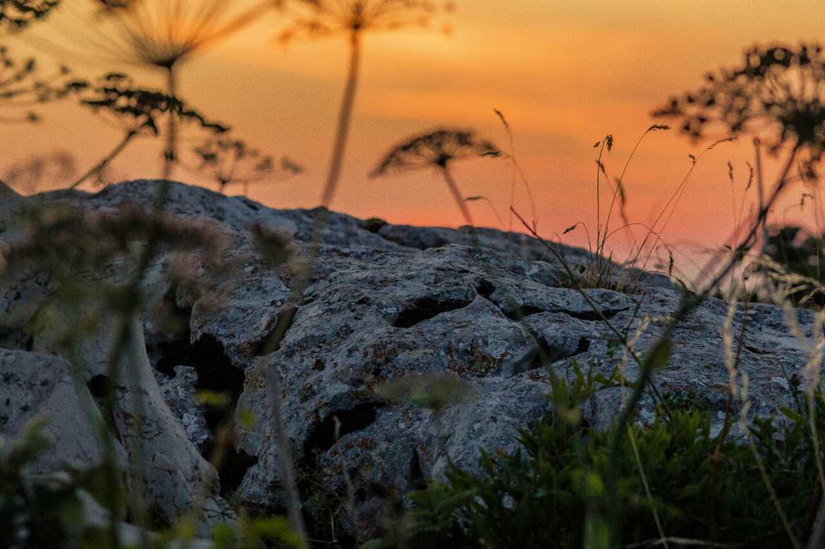 Rocher au coucher de soleil